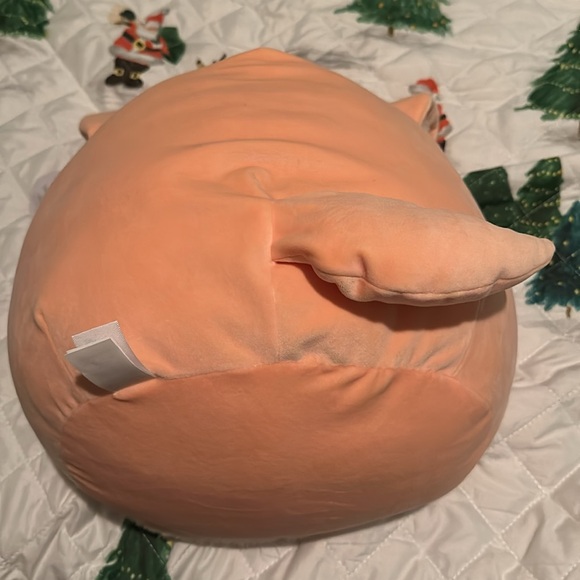 Pace Squishmallow - Picture 5 of 6